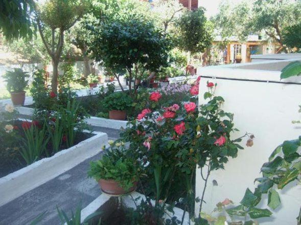 Villa Irida Sarti Extérieur photo